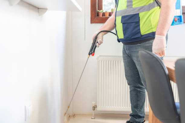 Best Wasp Removal Services  in Parsippany, NJ