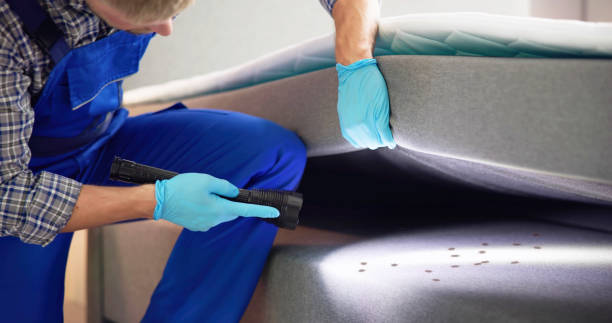 Best Termite Control Services  in Parsippany, NJ