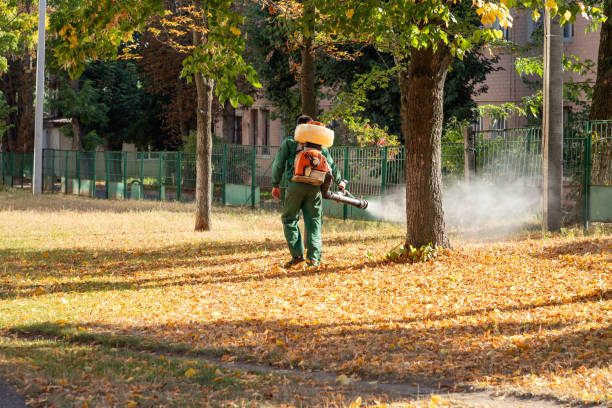 Best Bird Control  in Parsippany, NJ